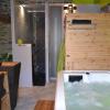 détente et bien être dans ce loft équipé d'un spa, d'un sauna et de vasques design Midi Pyrénées Languedoc Roussillon Aveyron